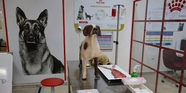 uludag-universitesi-klinik-beceri-laboratuvari-acildi.jpg