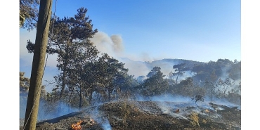 buyuksehir-ekiplerinden-akhisardaki-yangina-mudahale.jpg