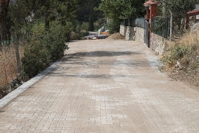 geyvede-parke-tasi-calismalari-tum-hiziyla-devam-ediyor.jpg