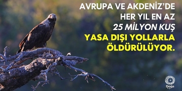 the-killing-3-0-raporuna-gore-kuslarin-yasa-disi-oldurulmesi-artiyor.jpg
