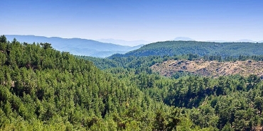 alj-turkiyeden-1-4-milyon-fidan-ile-baslayan-agac-seferberligi.jpg