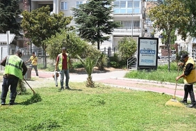 baskan-cercioglunun-calismalari-ile-kazanan-soke-ve-sokeliler-oluyor.jpg