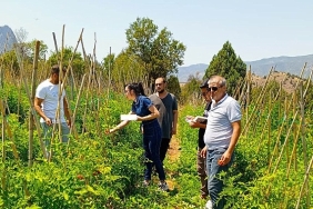 cankaya-belediyesinden-organik-pazar-denetimleri.jpg