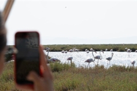 flamingo-yolu-turlari-basladi.jpg