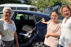 narlidere-belediyesinden-minik-dostlar-icin-seferberlik.jpg