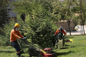 yesil-bir-cankaya-icin-parklarda-bakim-yapiliyor.jpg