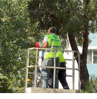 bakirkoy-belediyesi-ekipleri-kurtardi.jpg