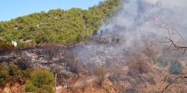 baskan-vekili-ozdemir-yangin-bolgesinde.jpg