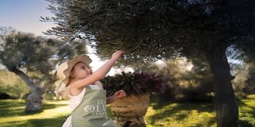 ela-excellence-resort-belekte-zeytin-agaclarinin-golgesinde-unutulmaz-bir-yolculuk.jpg