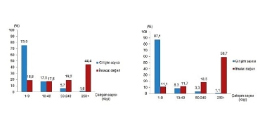 girisim-ozelliklerine-gore-dis-ticaret-istatistikleri-2024.jpg
