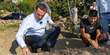 yenisehir-belediyesinin-hibe-ettigi-safran-soganlari-toprakla-bulustu.jpg