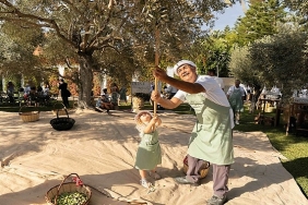 ela-excellence-resort-belek-olive-fest-ile-doganin-kalbinde-essiz-bir-deneyim-sundu.jpg