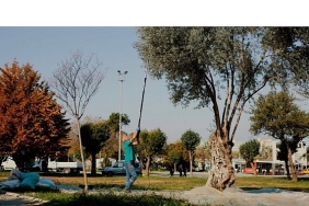 balcova-belediyesinden-kentin-bereketine-sahip-cikan-ornek-calisma.jpg