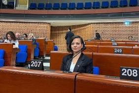 baskan-kinay-strazburgda-avrupa-konseyi-genel-kuruluna-katildi.jpg