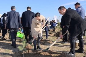 fidanlar-toprakla-bulustu.jpg