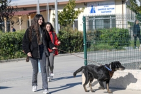izmirli-hayvansever-corekcinin-emanetlerine-izmir-buyuksehir-belediyesi-sahip-cikti.jpg