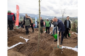 karamurselde-yanan-bolge-3-bin-fidanla-yeniden-yeserecek.jpg