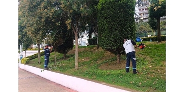 buyuksehirden-yesil-alanlara-ozel-bakim.jpg