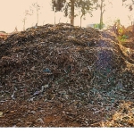 didim-belediyesinden-ornek-proje-pazar-atiklari-komposta-donusuyor.jpg