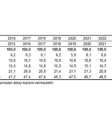 gelir-dagilimi-istatistikleri-2025.jpg