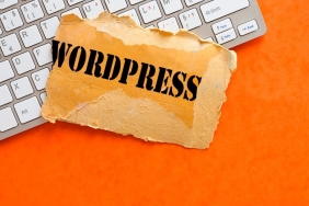 wordpess uzmanı (3)