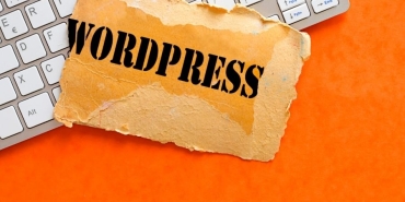 wordpess uzmanı (3)