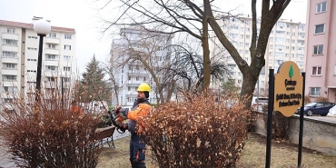 cankayada-budama-calismalari-bahar-oncesi-hiz-kazandi.jpg