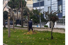 didim-belediyesi-ekiplerinden-ilce-genelinde-yogun-mesai.jpg