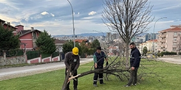 siddetli-lodosun-devirdigi-agaclara-osmangazi-belediyesinden-aninda-mudahale.jpg