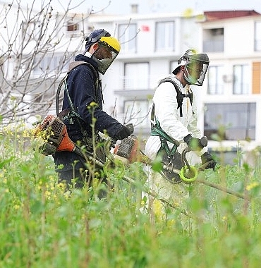 osmangazi-yabani-otlardan-temizleniyor.jpg