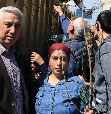 bergamadan-uretime-buyuk-destek-ahlat-agaclari-asilandi-binlerce-fidan-dagitildi.jpg