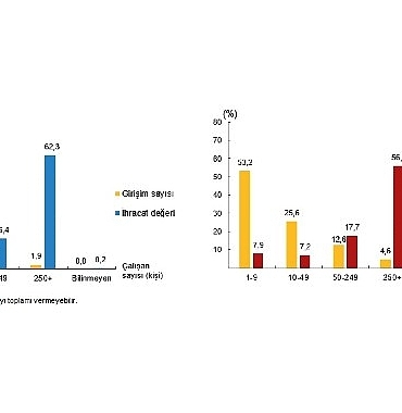 girisim-ozelliklerine-gore-uluslararasi-hizmet-ticareti-istatistikleri-2024.jpg