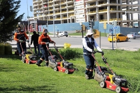 cankaya-parklarinda-cim-bicme-calismasi.jpg