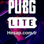 game satış (3)