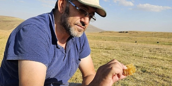 Kafkas Arısı için alarm zilleri çalıyor